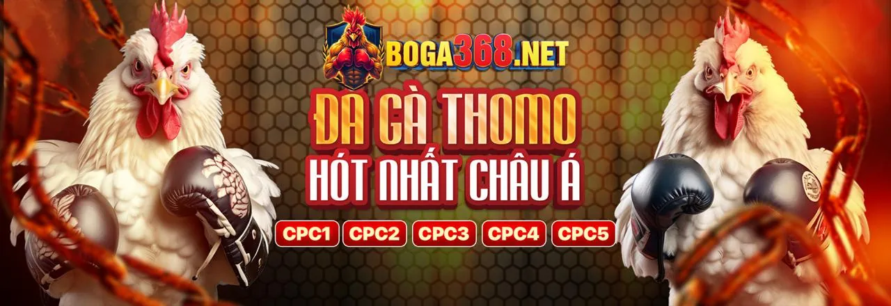 Bảo mật quyền riêng tư và dữ liệu người dùng khi chơi xổ số online